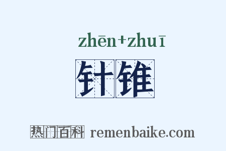 针锥是什么意思的图片